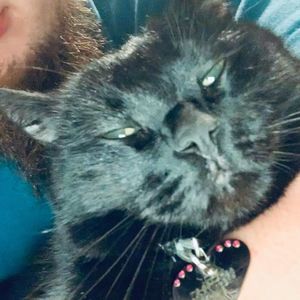 Meet your Posher, Dillon